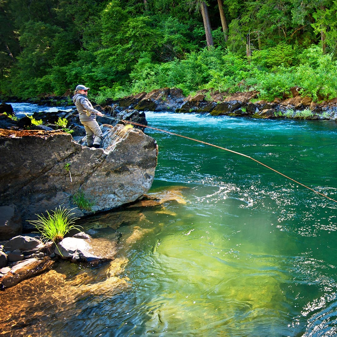Fly Fishing on the Umpqua River in Southern Oregon