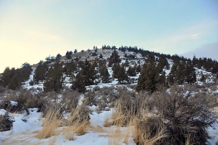 Winter Hikes, Piolt Butte. Photo by Kellie Standish