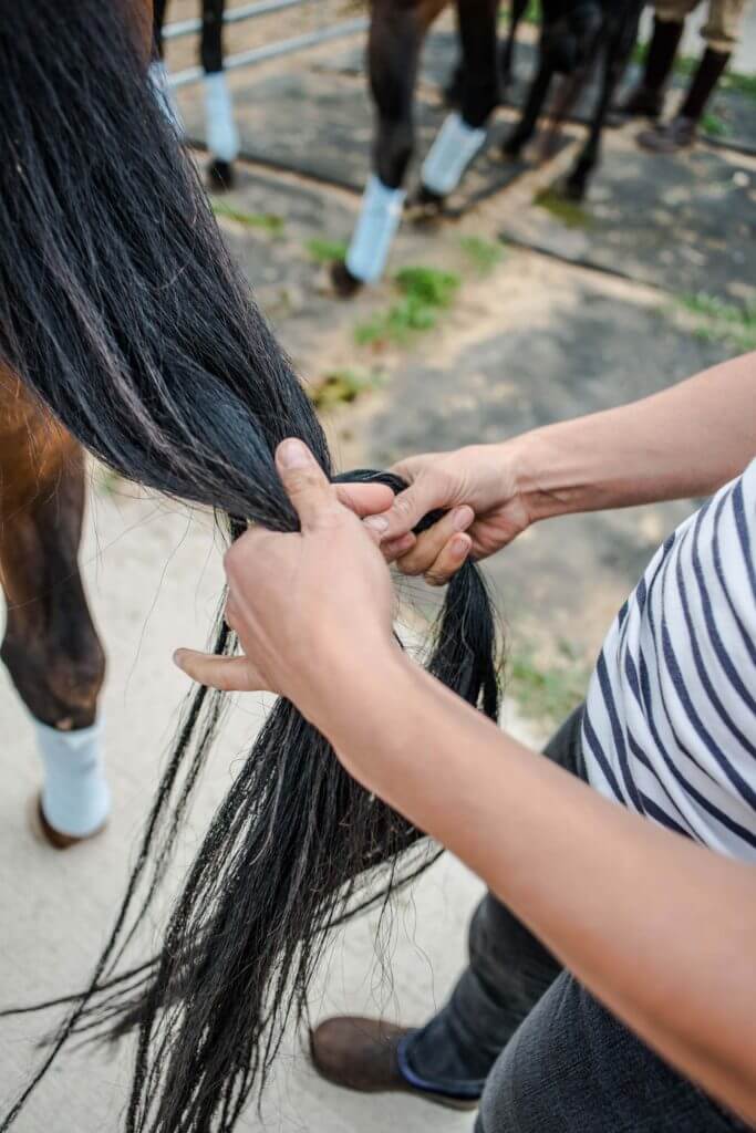 Sisters Cascade Polo Club, photo by Talia Galvin