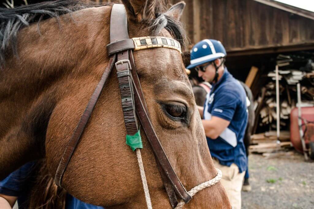 Sisters Cascade Polo Club, photo by Talia Galvin