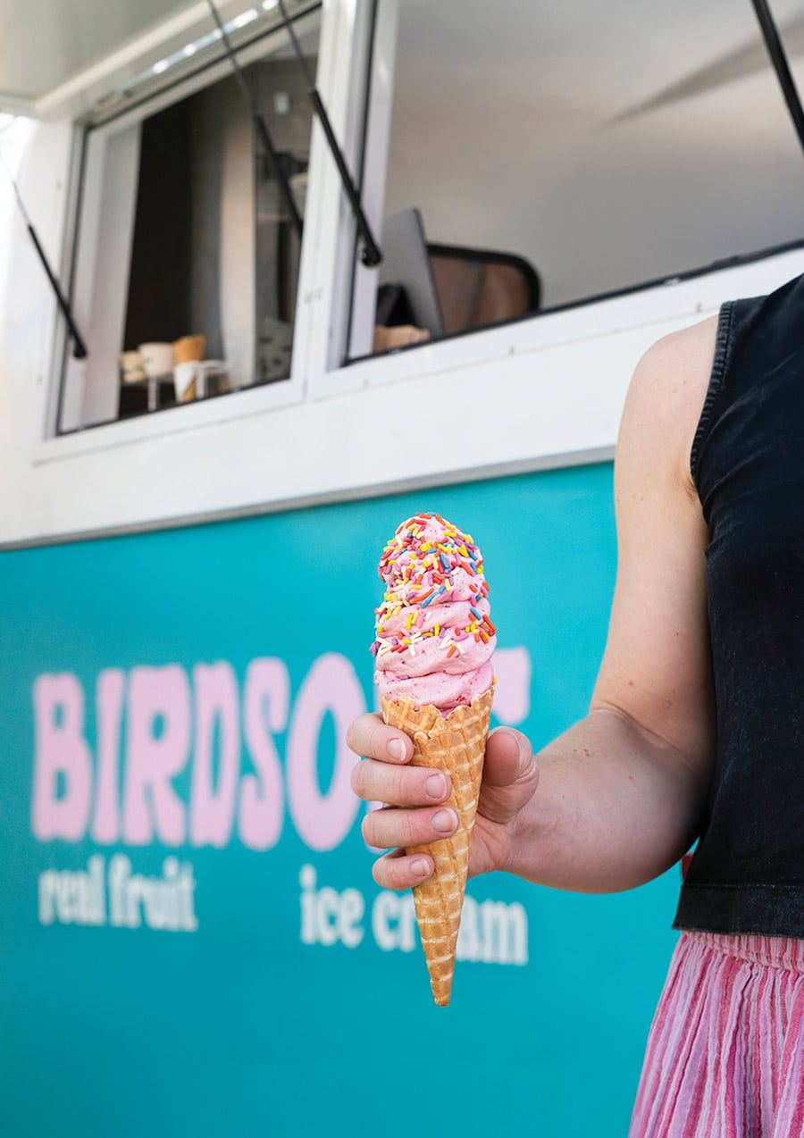 Birdsong Ice Cream Cone