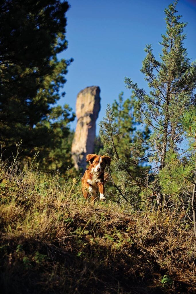 Steins Pillar