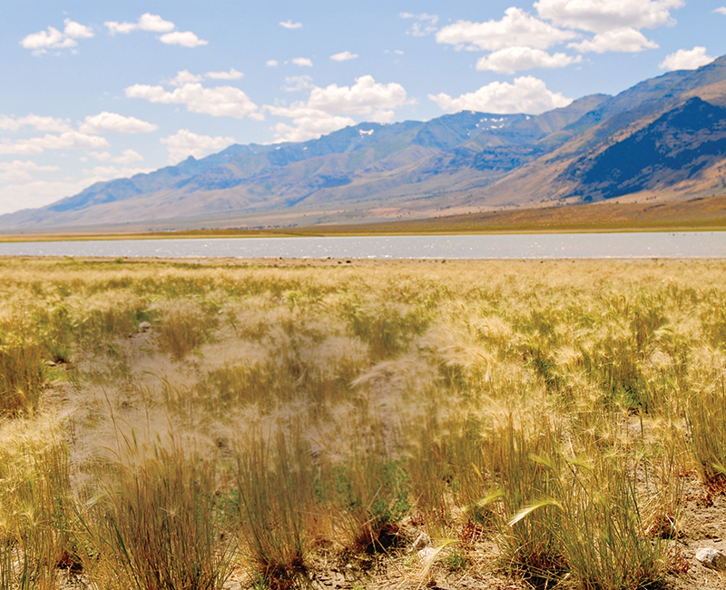Crystal Crane Hotsprings, Mann Lakes, Steens Mountains, Photo by Kayla Rotunno