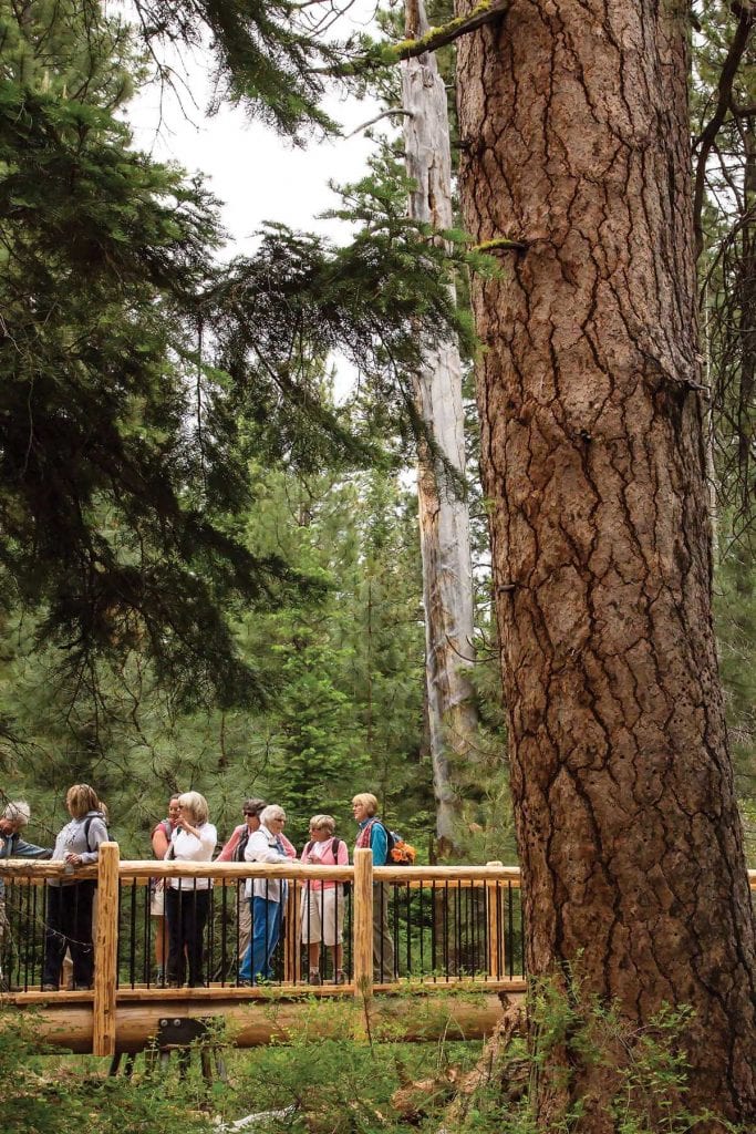 Metolius Preserve, Photo by John Williams