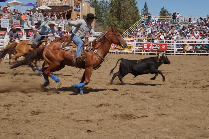 Team roping at the 2016 Sisters Rodeo in Sisters, Oregon.