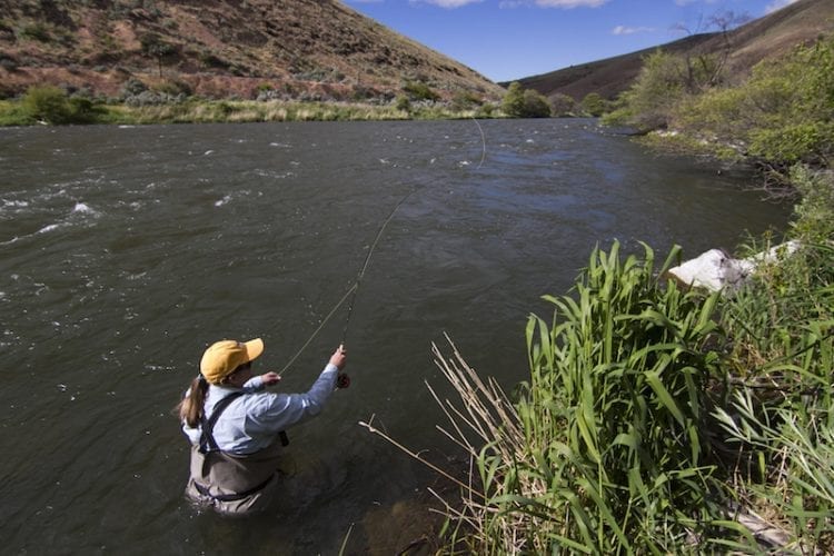 Amy Hazel casts her fly-fishing rod on the Deschutes River in Maupin, Oregon.