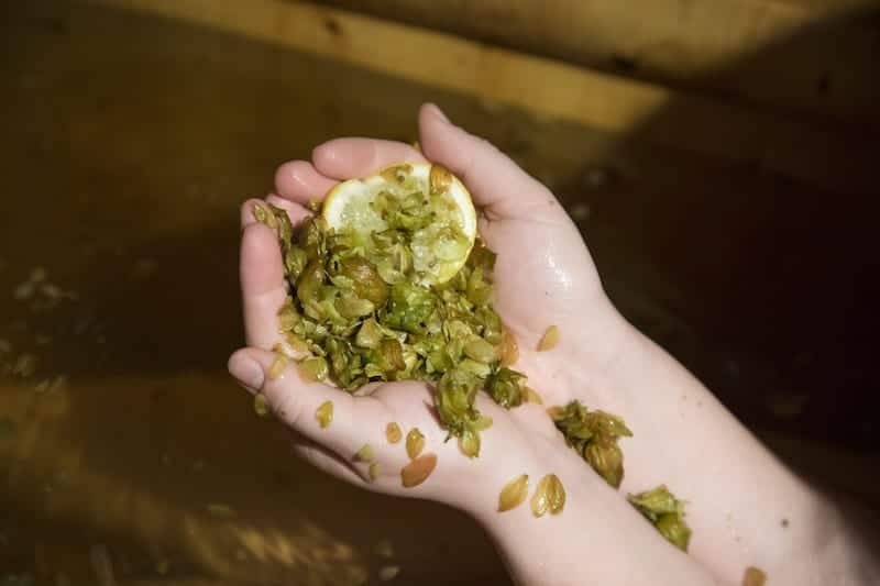 A blend of hops and minerals at Hop in the Spa in Sisters.