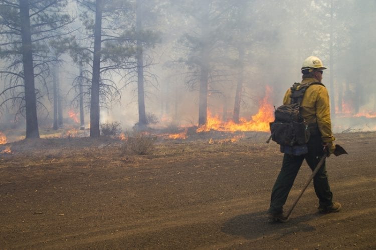 A firefighter working on a prescribed burn in Central Oregon.