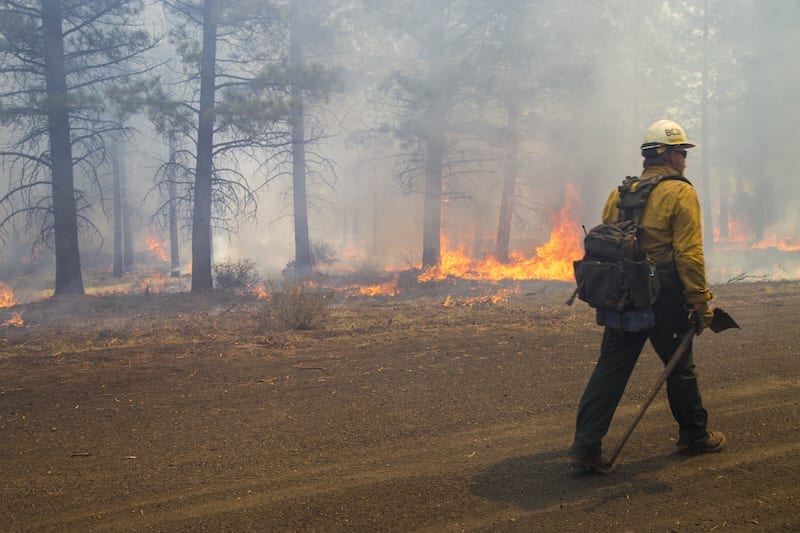 A firefighter working on a prescribed burn in Central Oregon.