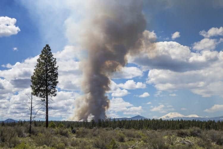 Fire Bend Fighting Central Oregon Wildfire with Fire — Bend Magazine