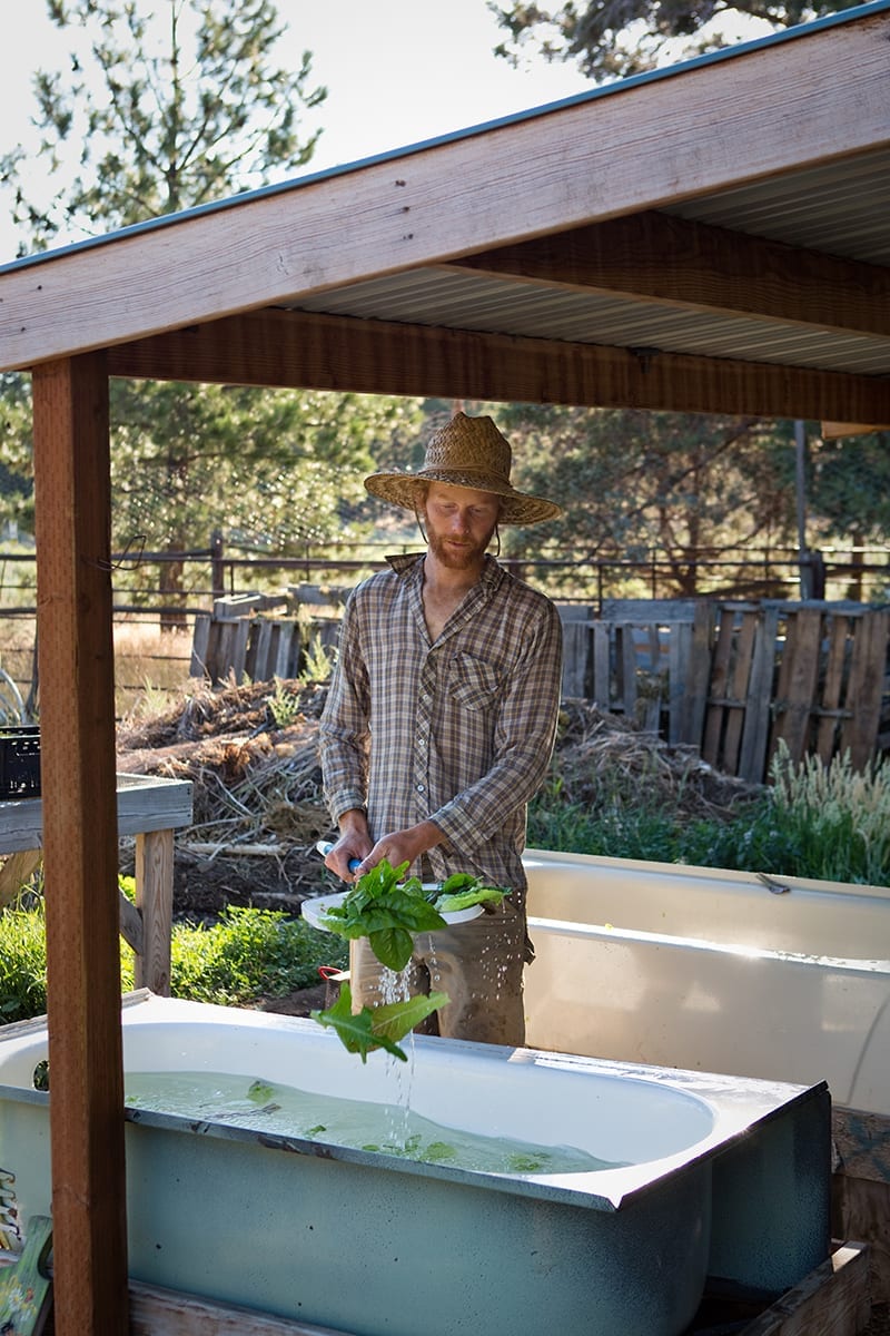 Co-owner of Mahonia Gardens farm Benji Negal