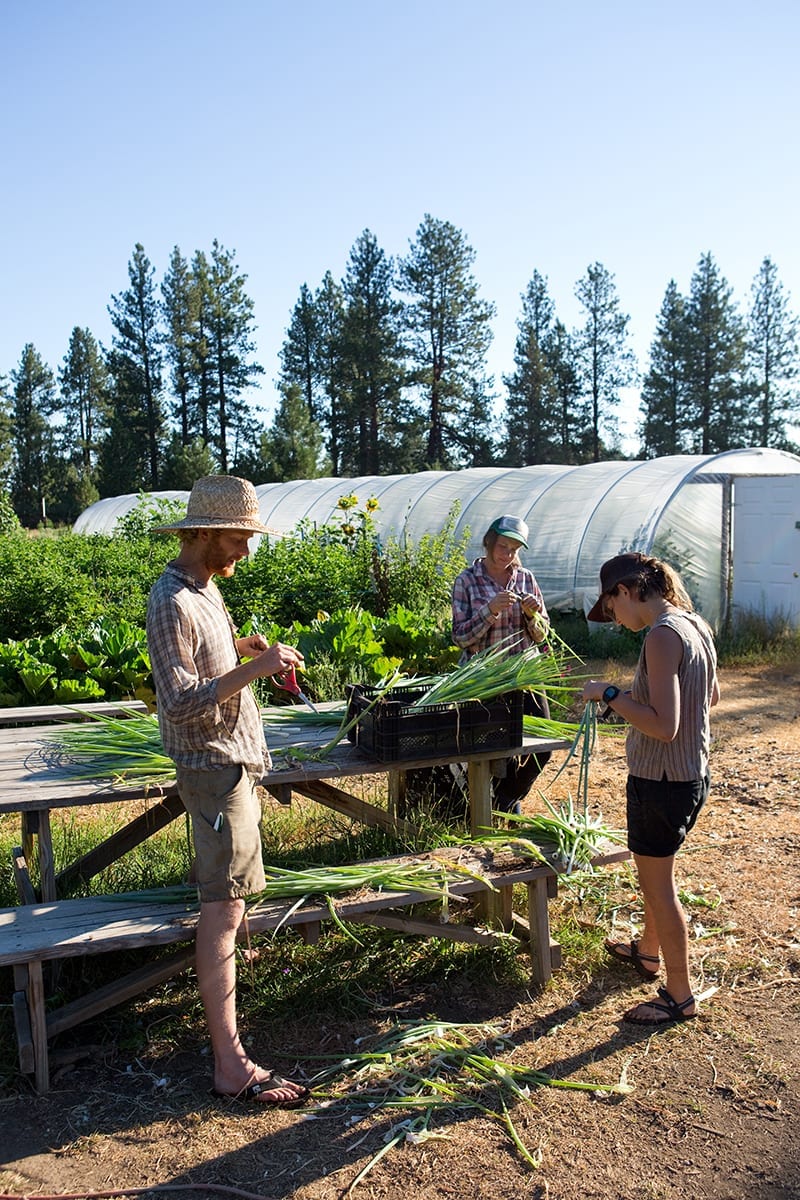 Mahonia Gardens in Sisters, Oregon