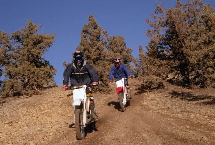 Off-road vehicles riding in the Ochoco National Forest