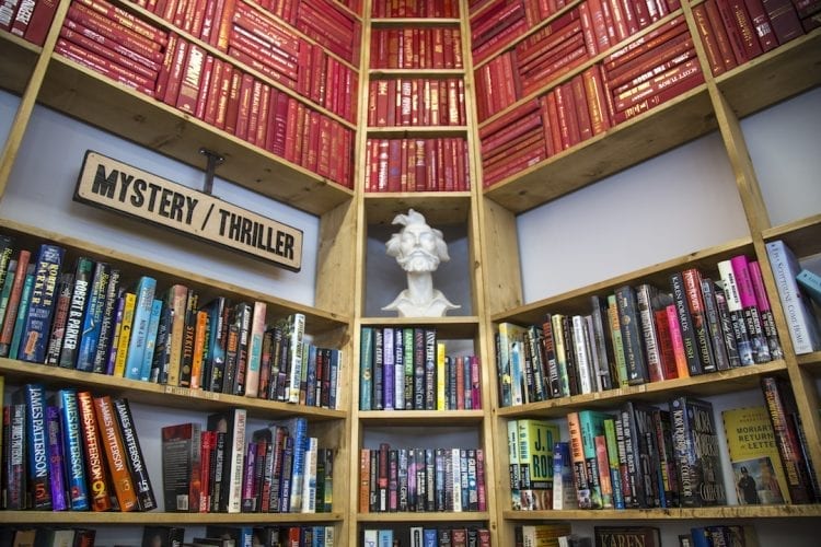 Big Story Book Recommendations 4 Fall Reads
