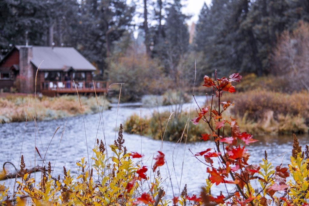 Fall on the Metolius