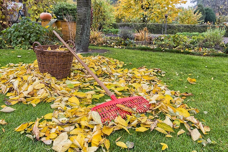 Prepare Your Garden for the Winter