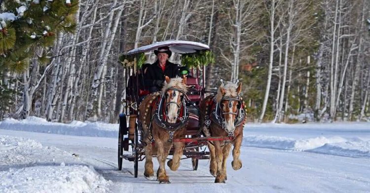 Carriage Rides at Black Butte Ranch | Holiday Events in Central Oregon