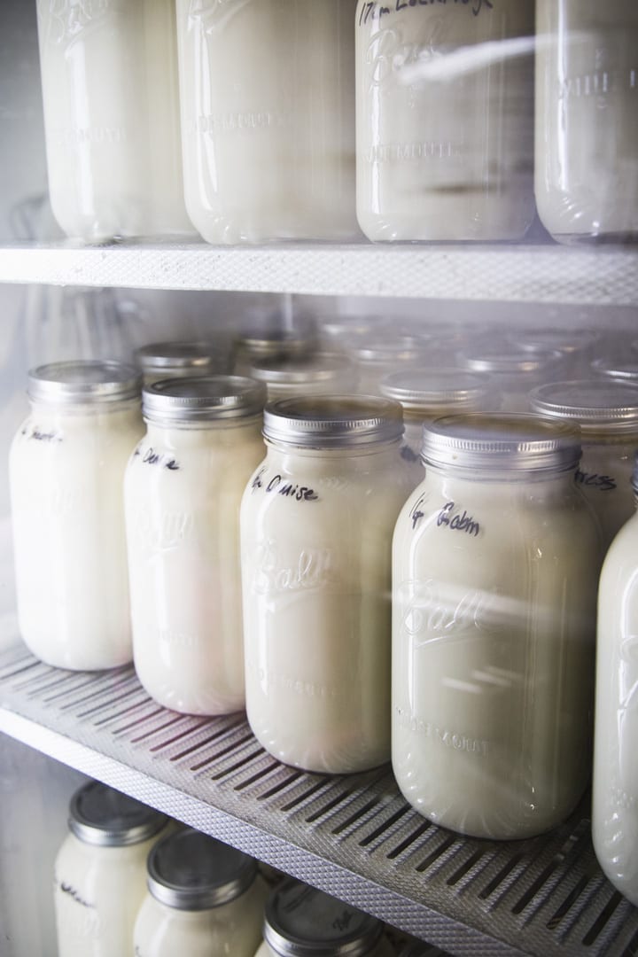 Raw milk from Hope Springs Dairy in Tumalo, Oregon