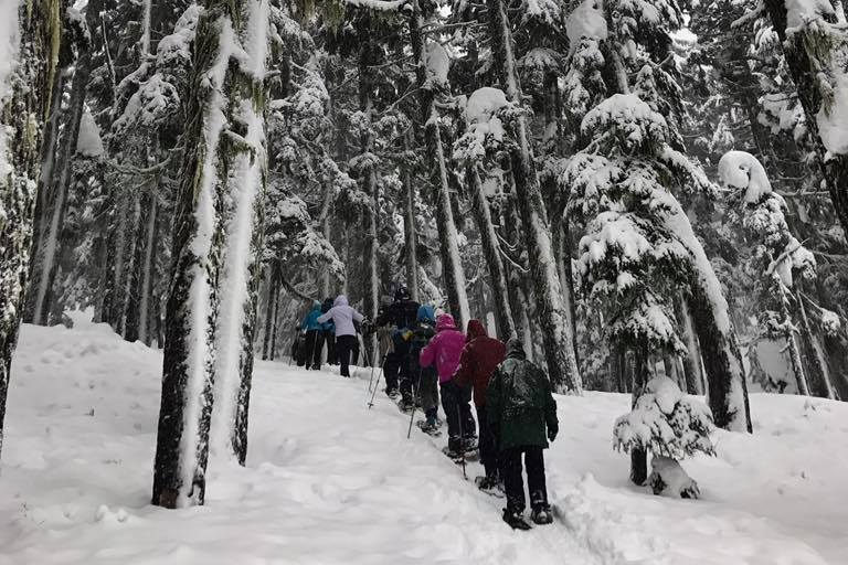 Snowshoe with a Ranger