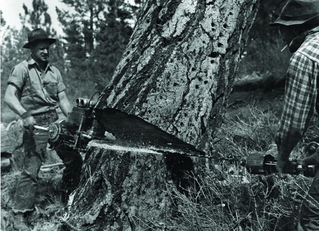 Photograph by Paul Hosmer of a timber-feller in Bend, Oregon