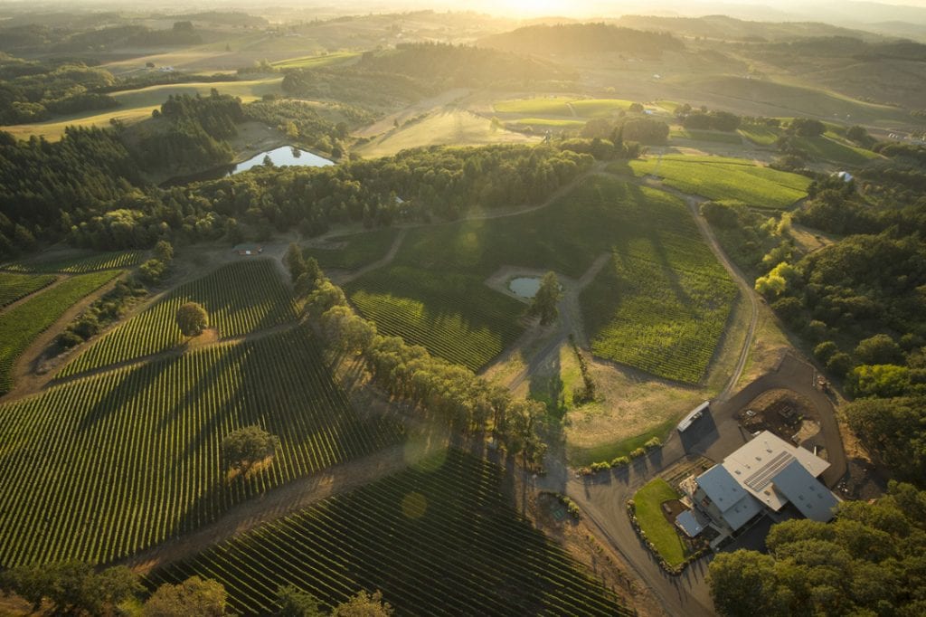 aerial of alexana winery in willamette valley wine region