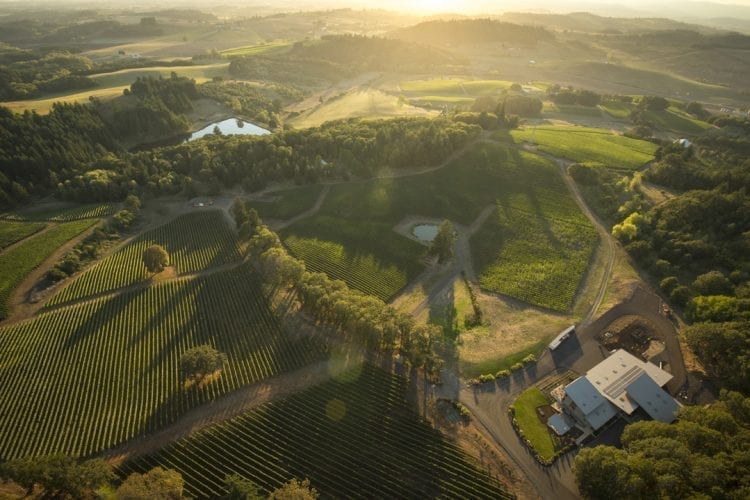 aerial of alexana winery in willamette valley wine region