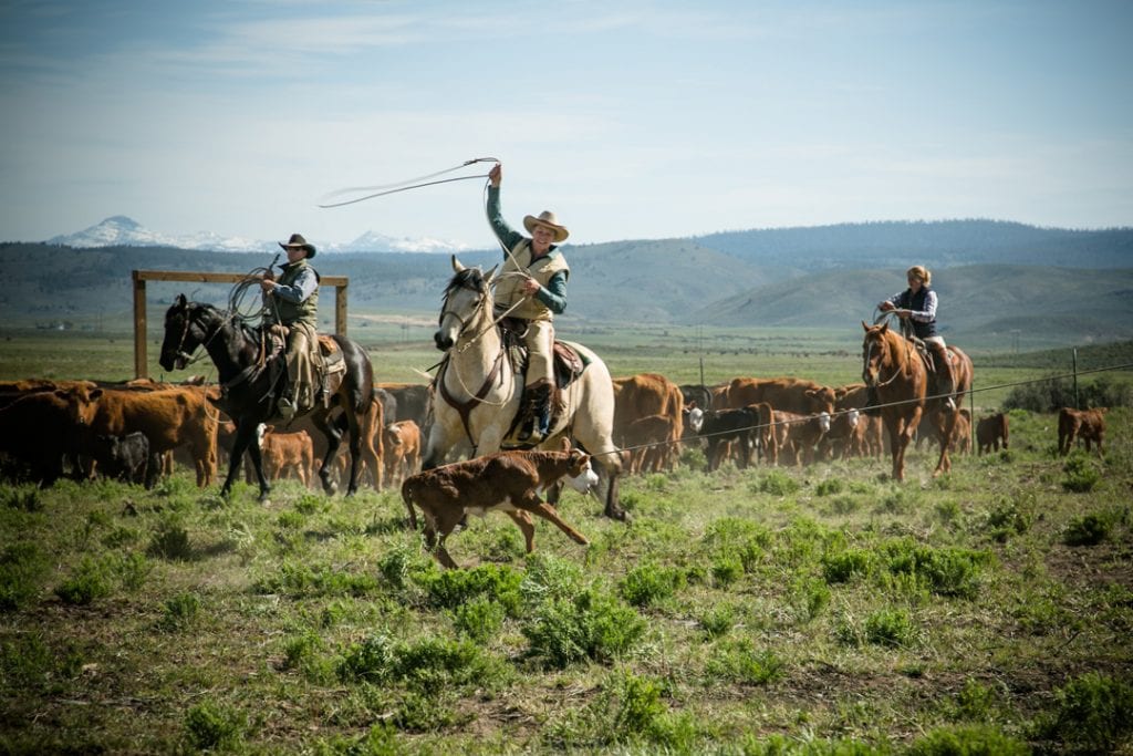 Eastern Oregon Ranches Silvies Valley Ranch in Eastern Oregon — Bend Magazine
