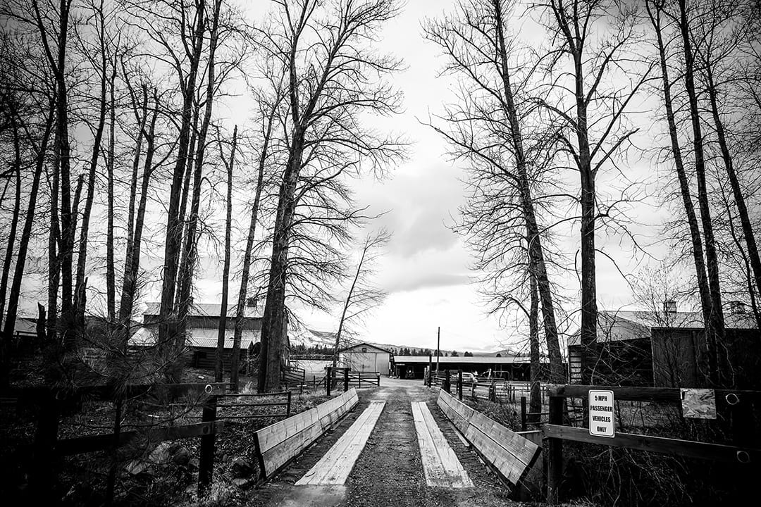 Pine Meadow Ranch in Sisters, Oregon