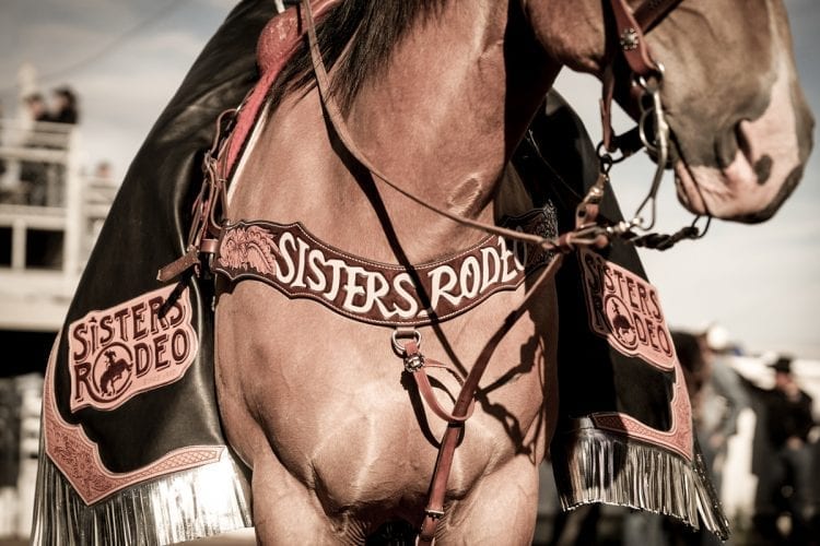 Sisters Rodeo Horse