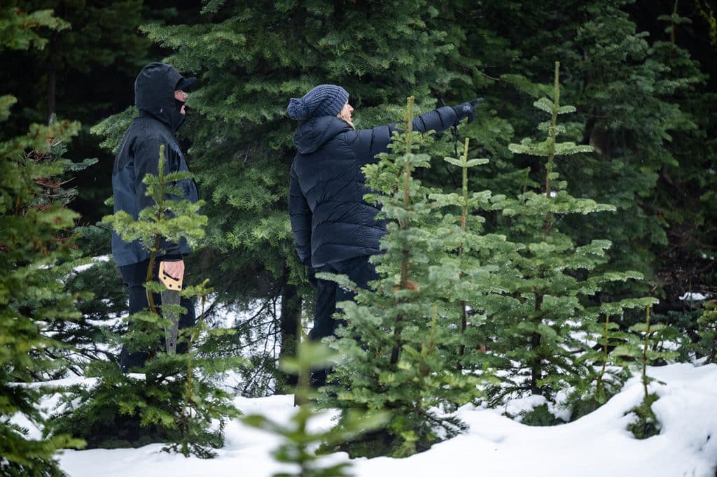 Christmas Tree hunting in Central Oregon