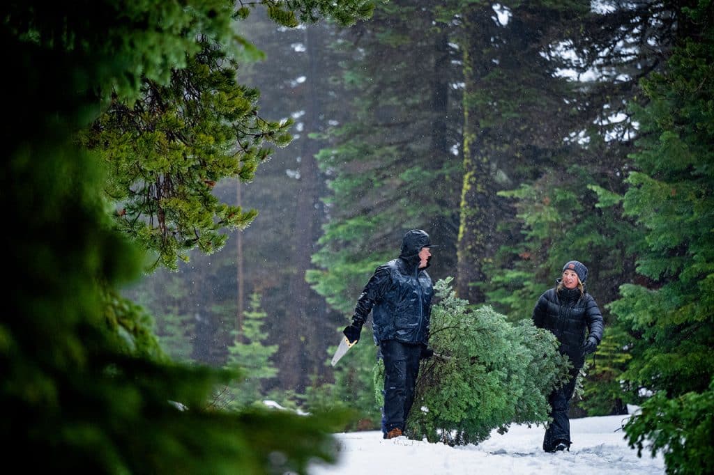 How to Cut Your Own Christmas Tree in Central Oregon