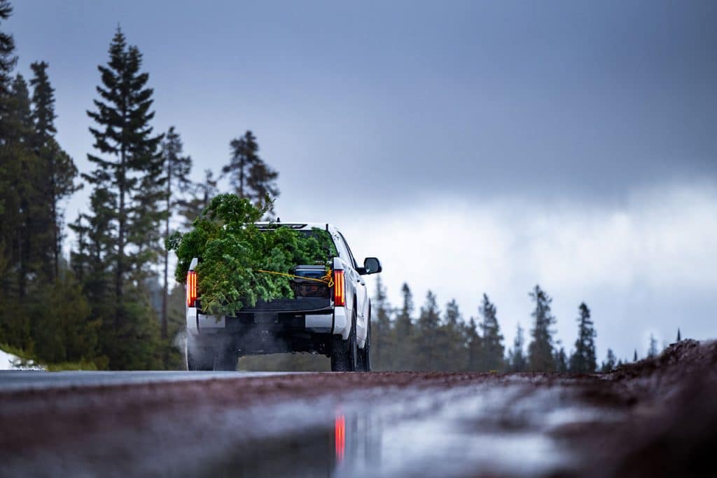 heading home with Christmas Tree in truck