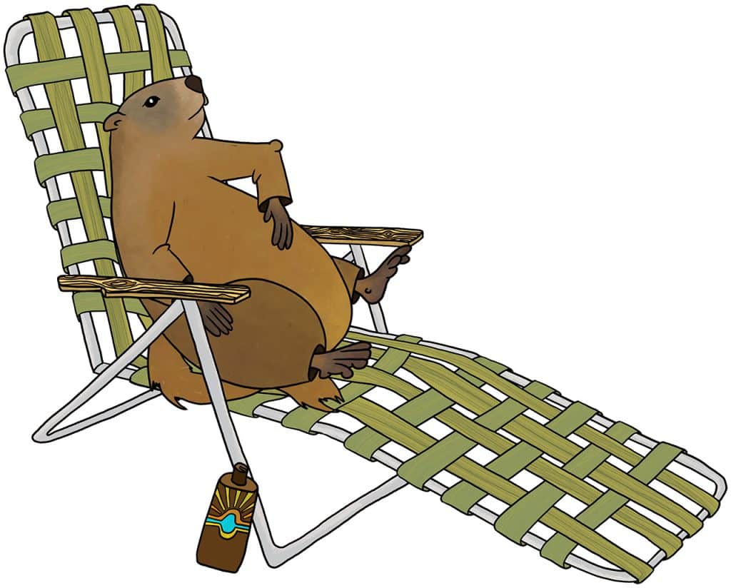 Central Oregon Fauna