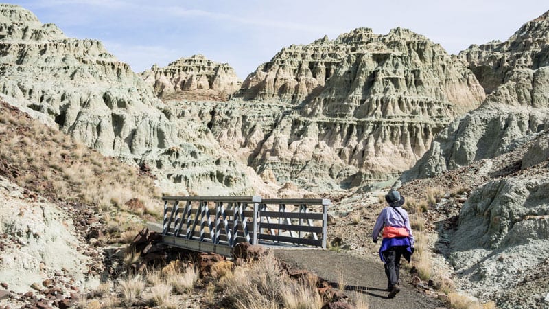 Blue Basin Loop Bridge