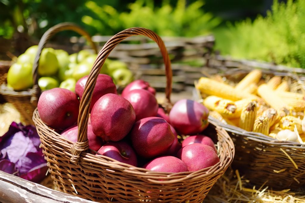 Fruits and vegetables for sale on street stall in the market. Ripe organic apples and corn in wicker baskets in local farmer market.