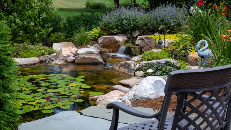 Backyard pond