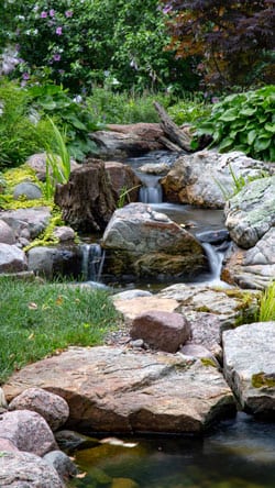 A water feature that integrates rocks