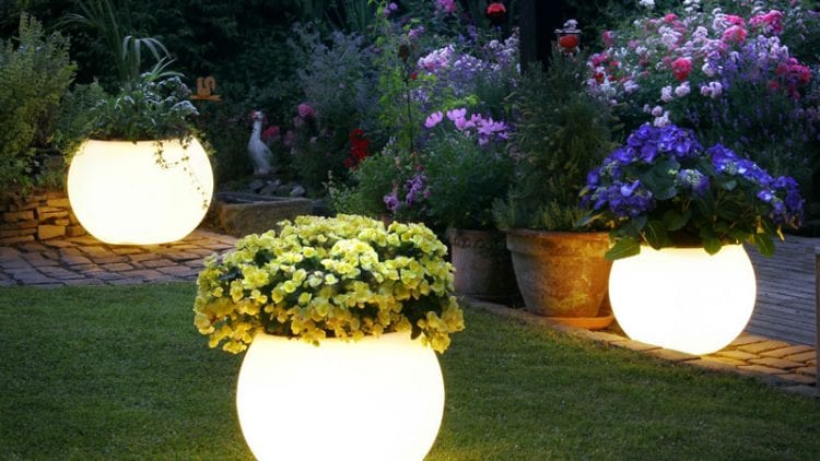 Glowing planters outside