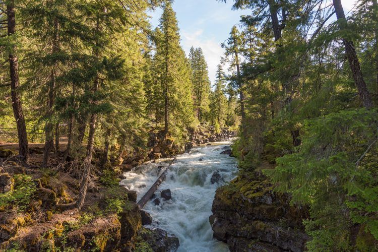 Rogue River flowing through Siskiyou National Forest