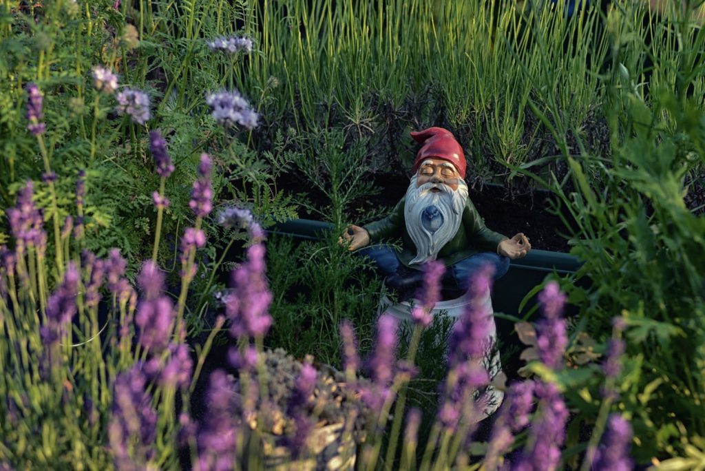 statue of gnome meditating in flowers