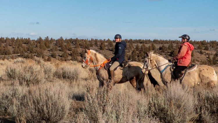 A couple horseback riding in Madras Oregon