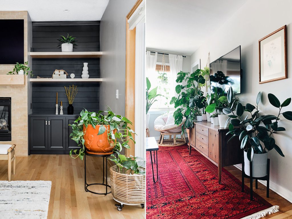 How to do house plants in a bunch
