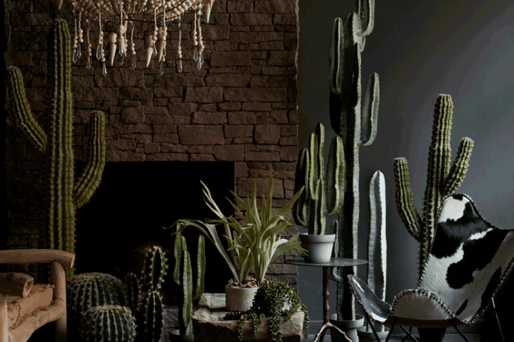 Winter in the (High) Desert: Desert Rose Cactus Lounge