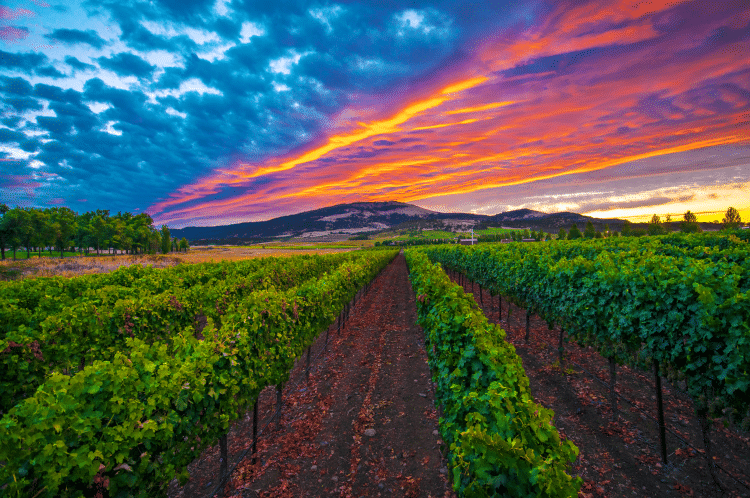 Rogue Valley — Rogue Farm Corps