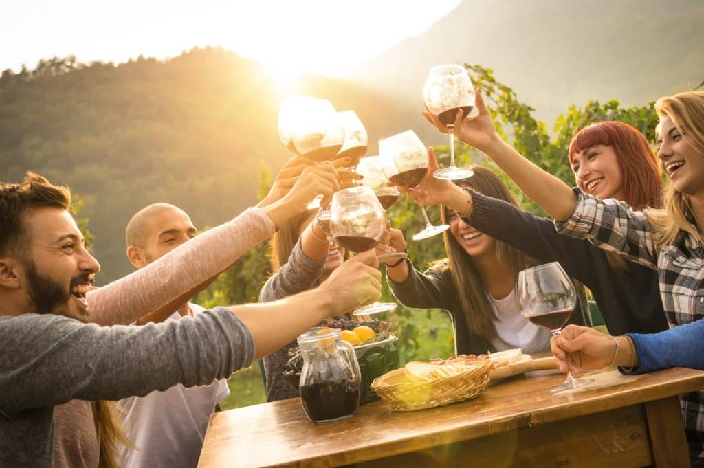 Group clinking wine glasses at a Rouge Valley Winery