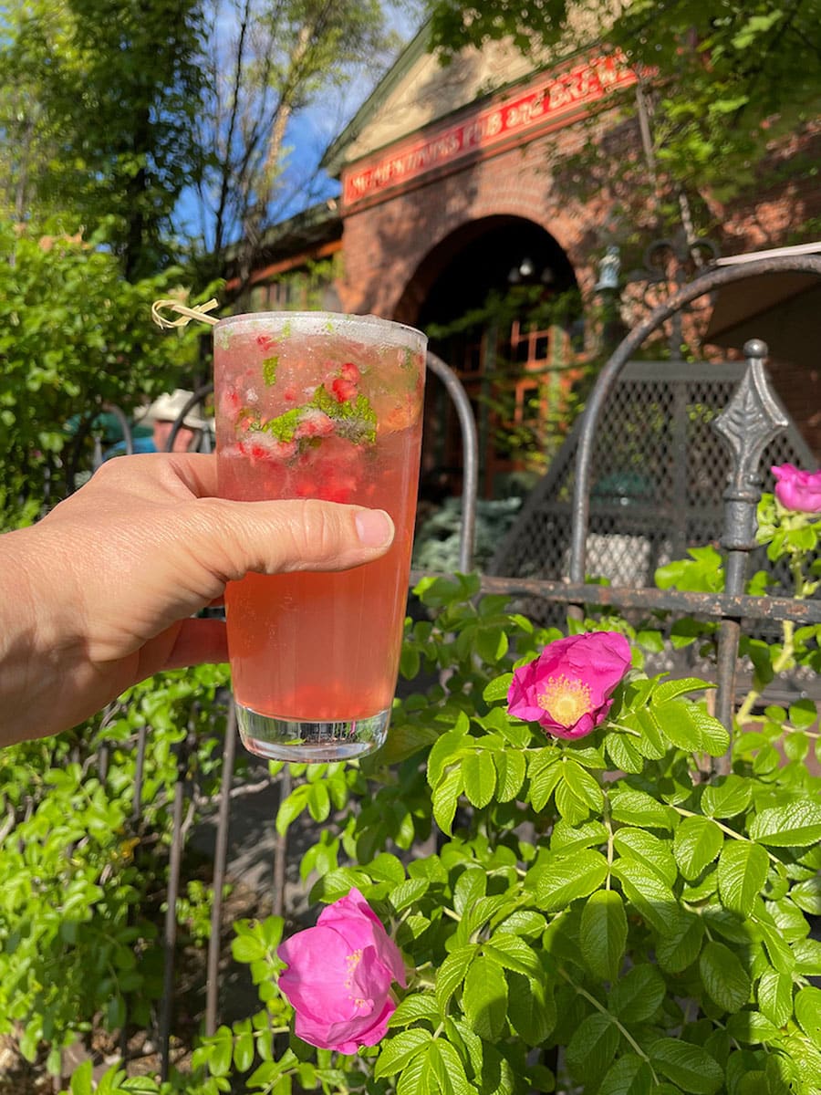 cocktail in a rosebush.