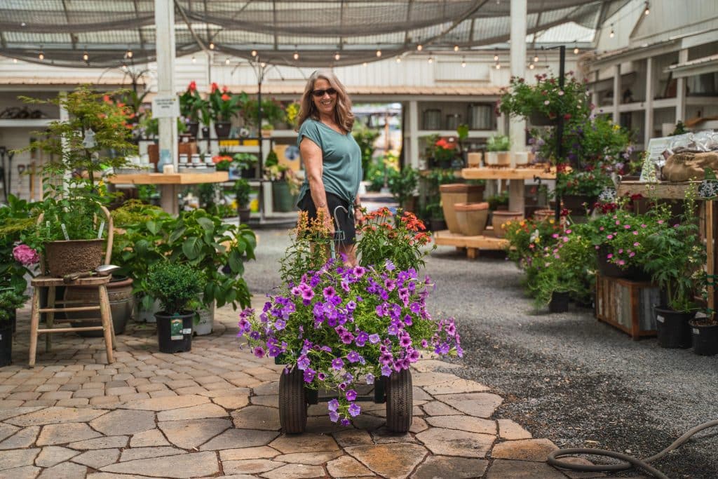 Schillings Garden Market Hanging Basket