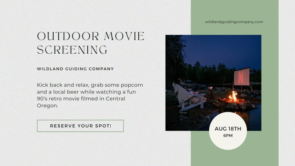 Outdoor Movie Screening