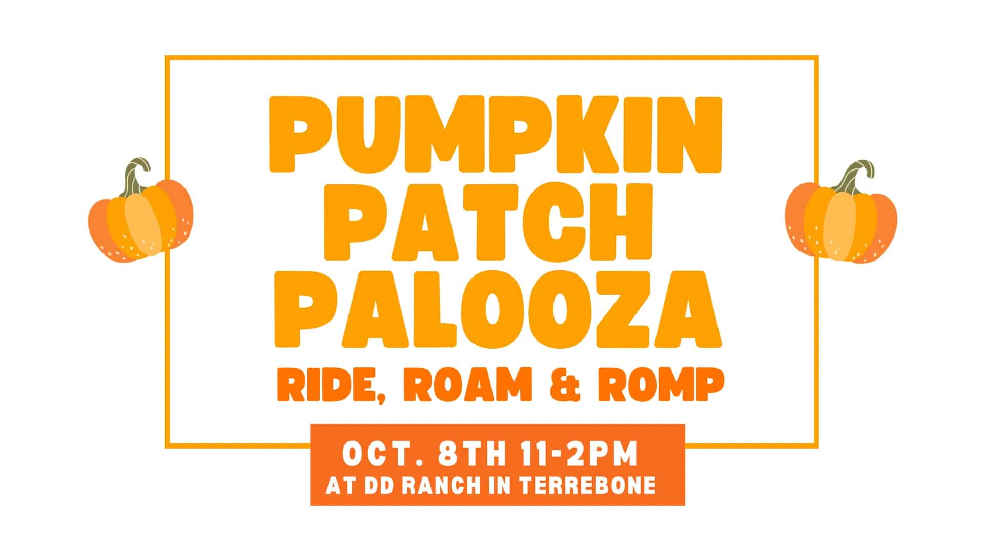 Pumpkin Patch Palooza