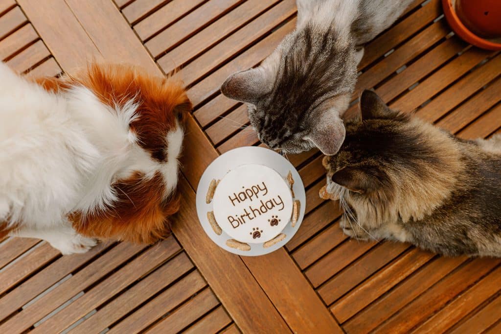 Happy birthday Bend Pet Express